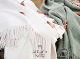 Alpaca Solid Blanket