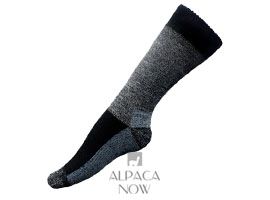 Premium Alpaca Omni Hiker Socks
