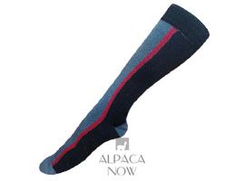 Premium Royal - Silk Striped Dress Socks