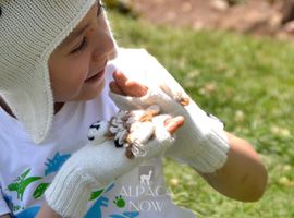 Alpaca Kids - Alpaca Fingerless Gloves